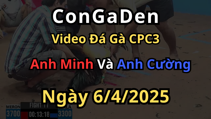 Bướm hiệu Cần Thơ chấp 4 chấm đá chiến ác CPC3 6/4/2025